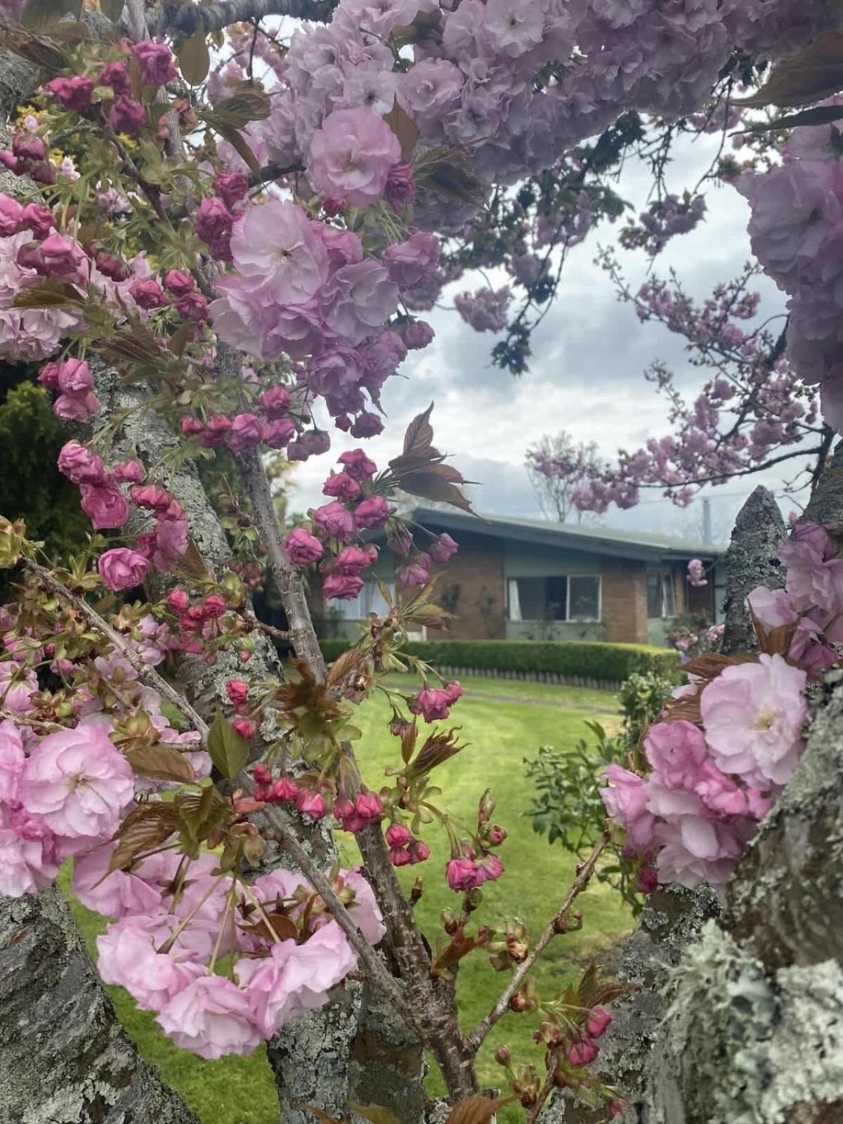 Roselake Retreat روتوروا المظهر الخارجي الصورة